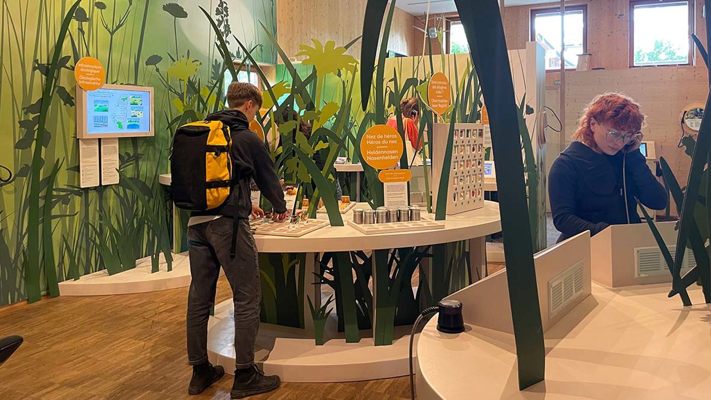 La Sauge Expo 2024 3