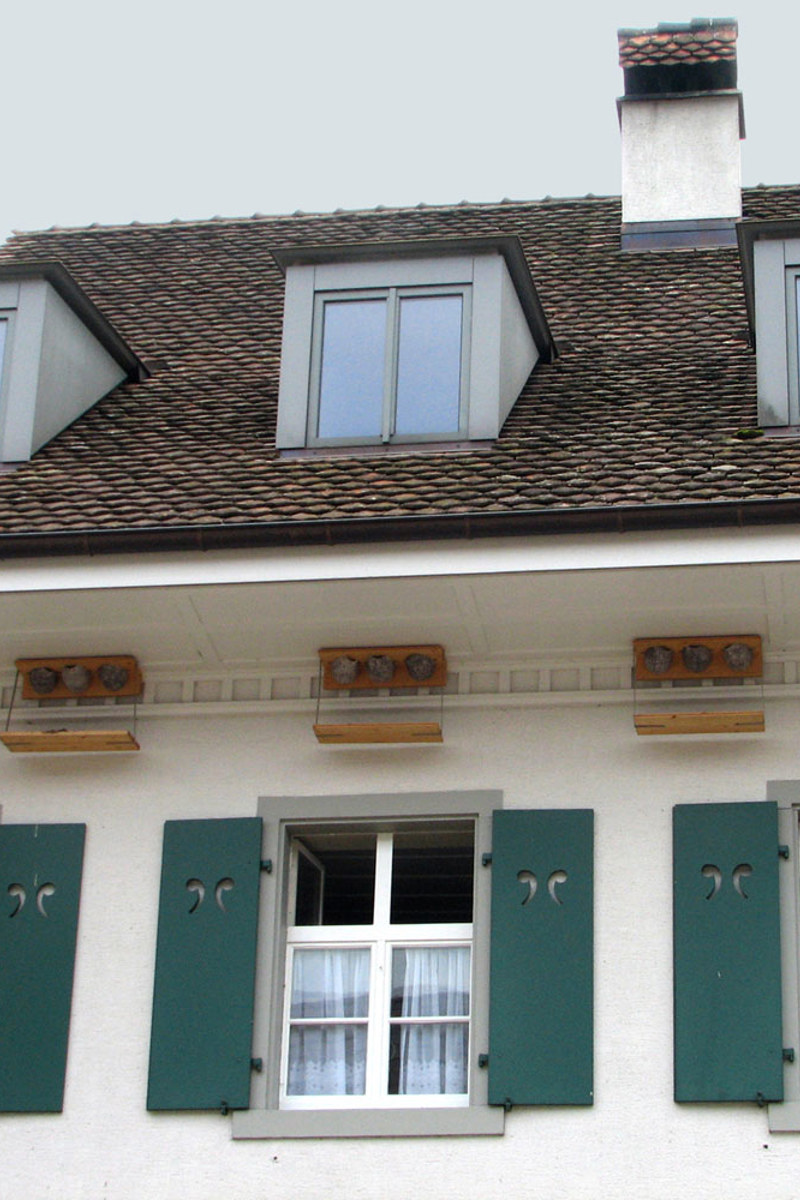 Schwalbenhilfen Ueli Rehsteiner