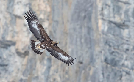 Anspruchsvoller Start ins Leben