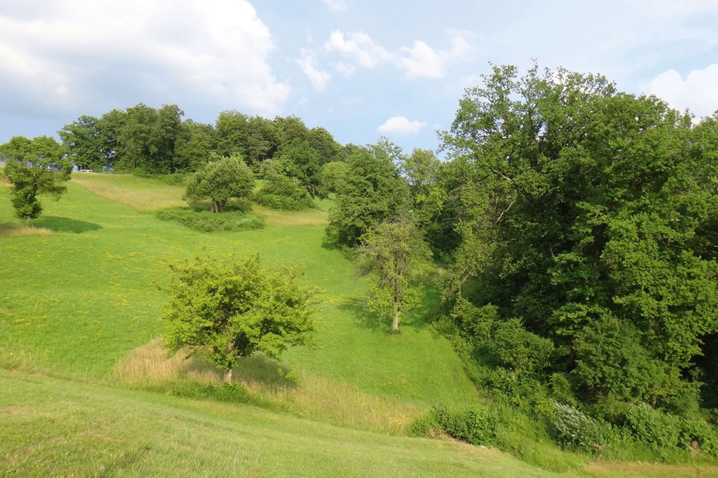 Für schützenswerte Lebensräume und Arten sind im Rahmen der Ökologischen Infrastruktur die nötigen Flächen zu sichern. © BirdLife Schweiz