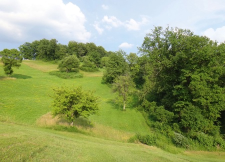 Ein Jahrhundertwerk für die Natur