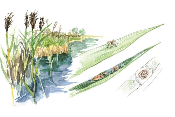 Bildschirmfoto 2025 07 21 Um 13.13.29