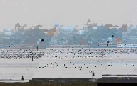 Massentouristen im Anflug