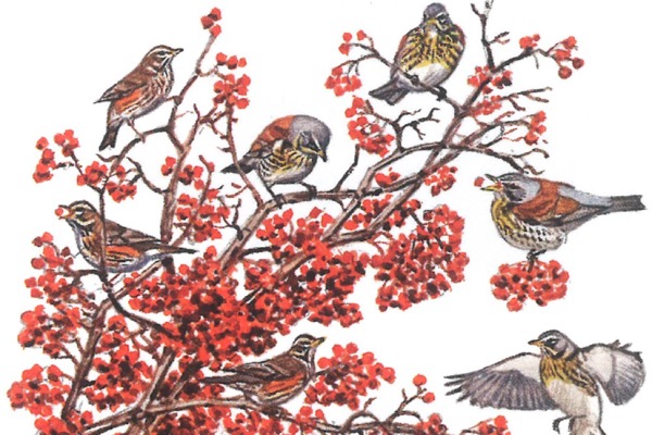 Bildschirmfoto 2024 01 25 Um 15.25.59