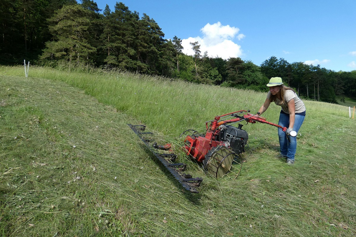 W 20180528 P1000243 Jonaslandolt