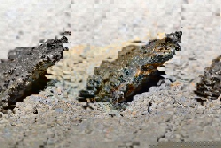 Auf Vielfalt angewiesen