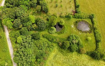 Gewässer Streuobstwiese SICONA