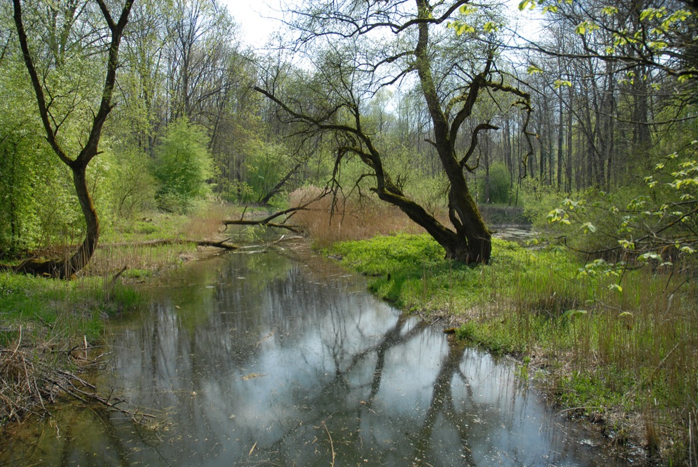 BT Villnachern Oekovision