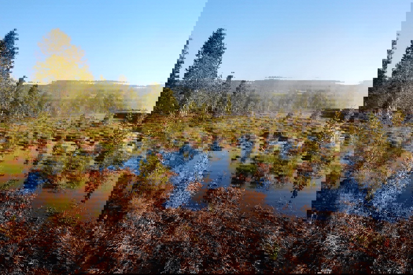 Dank nationalen Biotop-Inventaren geniessen fünf gefährdete Lebensräume wie die Hochmoore starken gesetzlichen Schutz. Für andere wertvolle Lebensräume gibt es jedoch keine Schutzinventare. © BirdLife Schweiz