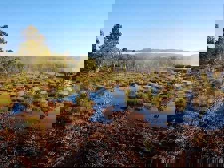 Am Netz knüpfen – aber wie?