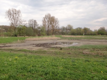 Projekte zahlen sich aus