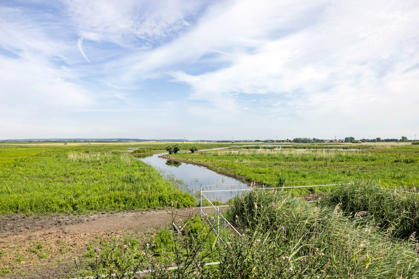 KI K8A2974 Edit Kopie