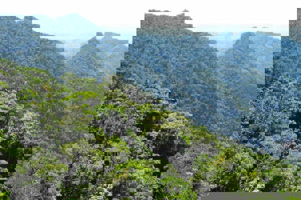 Forests Aufhaenger TGK RVA 2 030 POSS