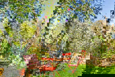 Viele Wege führen zu  mehr Biodiversität