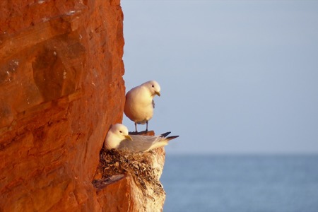 Die Entdeckung der Senkrechten