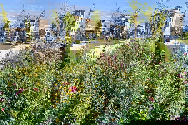 BI Dachgarten IMG 2020 2