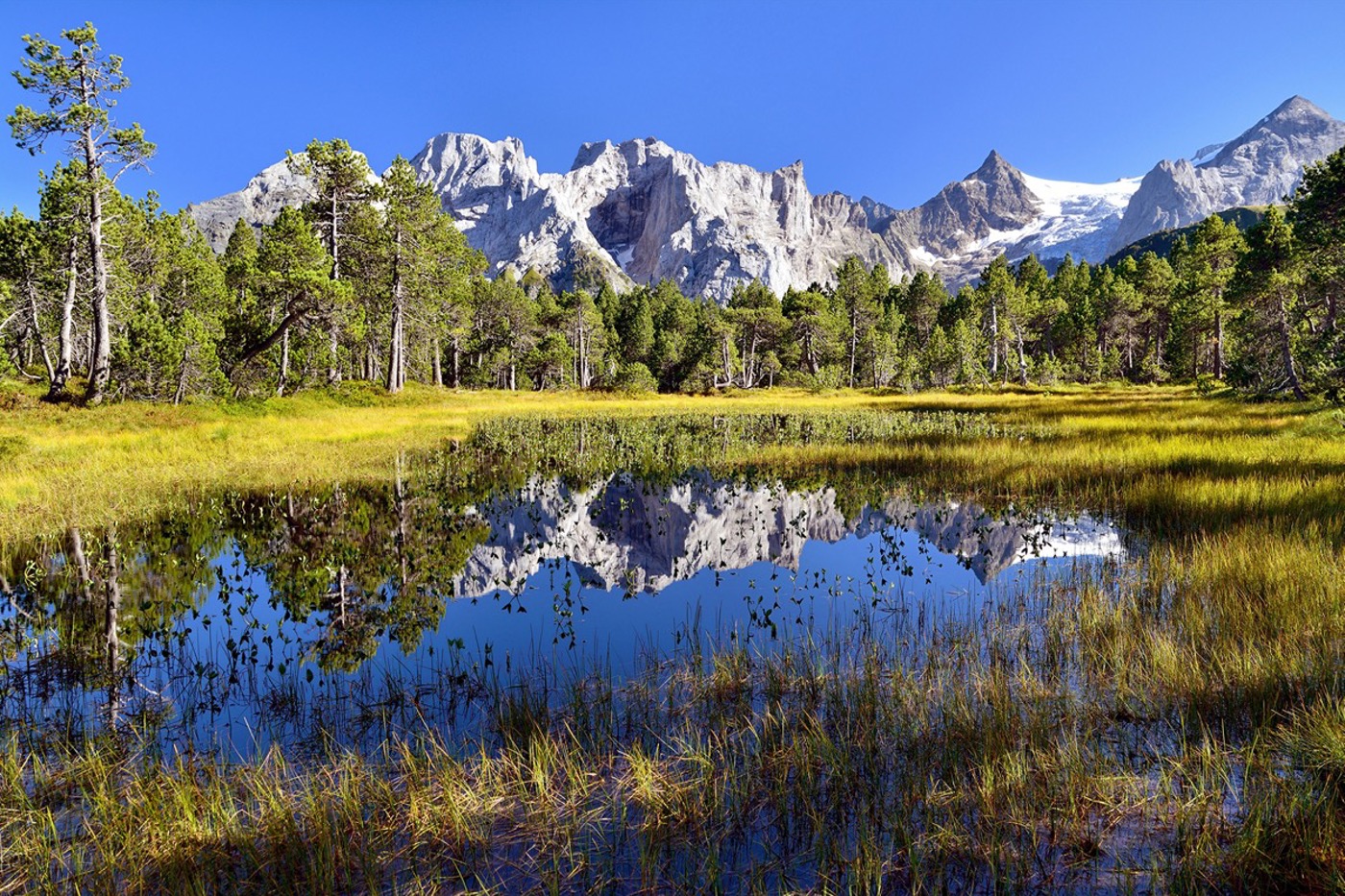 Das Hochmoor Chaltenbrunnen BE, ein Biotop von nationaler  Bedeutung. Im Hintergrund die Engelhörner und der Rosenlaui-Gletscher. © Daniel Bärtschi/imageBROKER/Alamy