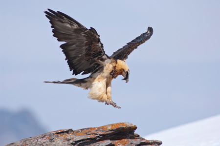 Der lange Weg zurück