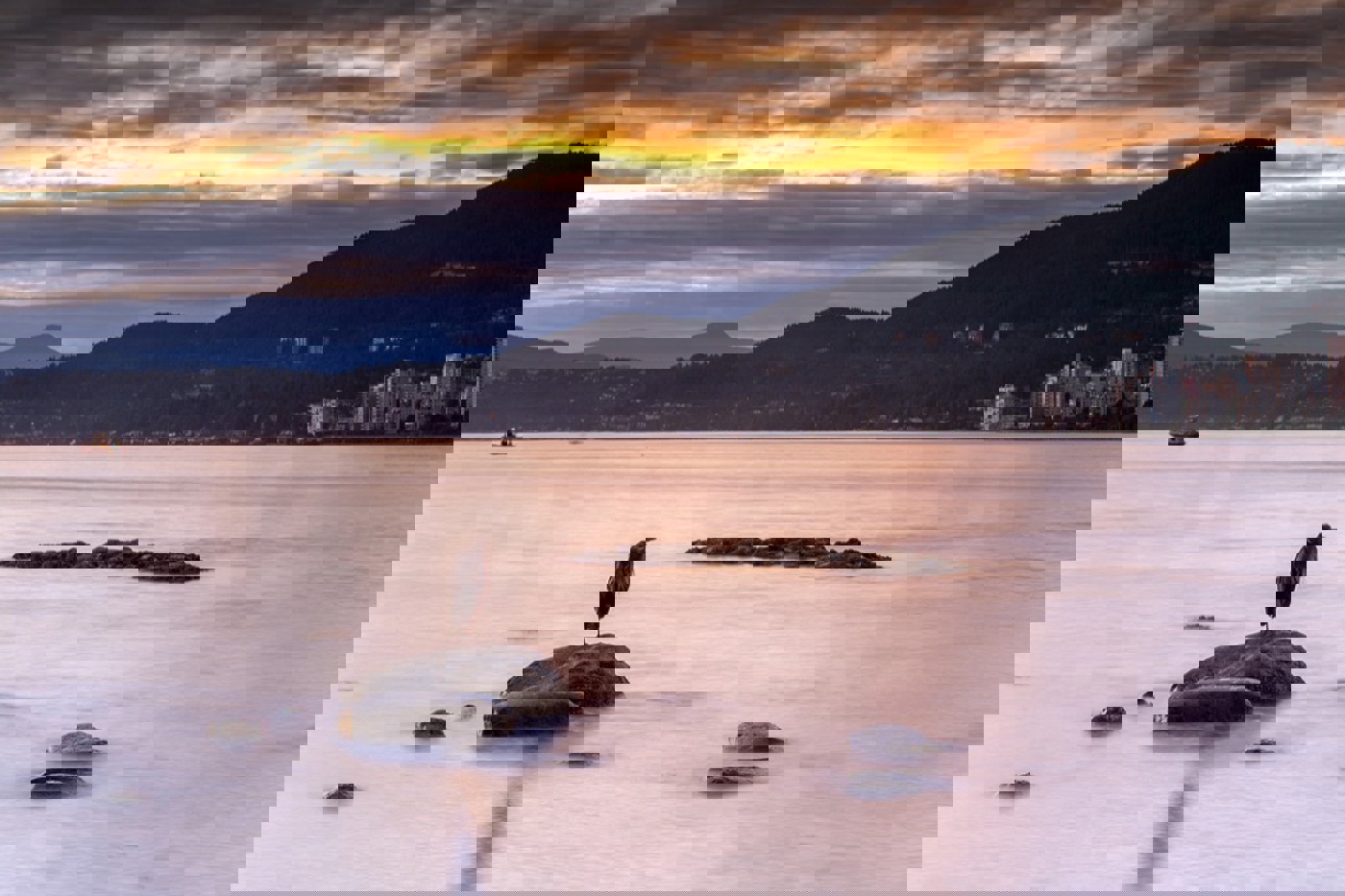 Natur in Grossstadtnähe: Ein Kanadareiher steht vor der Kulisse West-Vancouvers. © Flurin Leugger (alle Fotos)