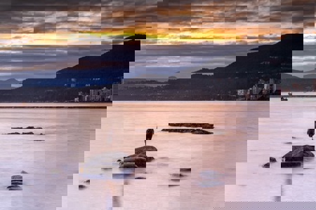 Im Reich der Sumpfohreulen und Kojoten