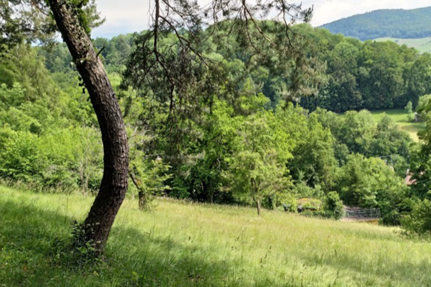 Hellikon (AG) © Kai Huovinen