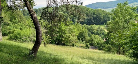 Eine schöne Bilanz!