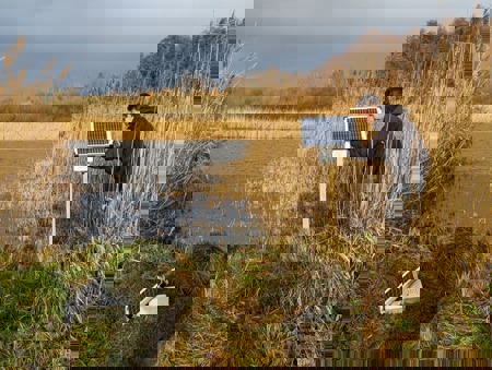 Wenn die KI Vögel bestimmt