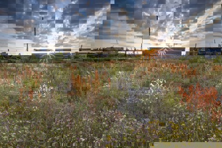 Beton statt Schutzgebiet?