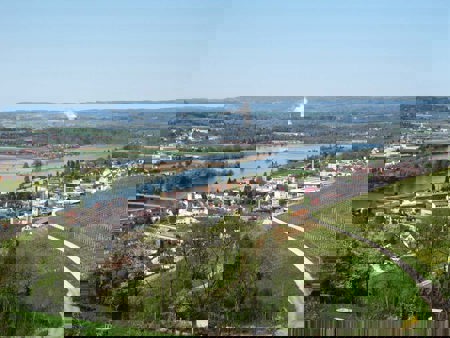 Vom Tauchenten- zum Schilfbrüter-Paradies