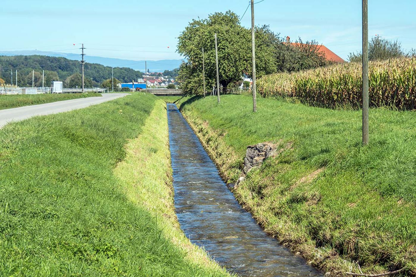 Forschende haben die Pestizidbelastung von fünf Schweizer Fliessgewässern untersucht. Im Bild die Petite Glâne (FR). © Jag9889, CC BY-SA 4.0 via Wikimedia