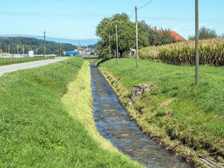 135 Pestizide in Schweizer Bächen und Flüssen