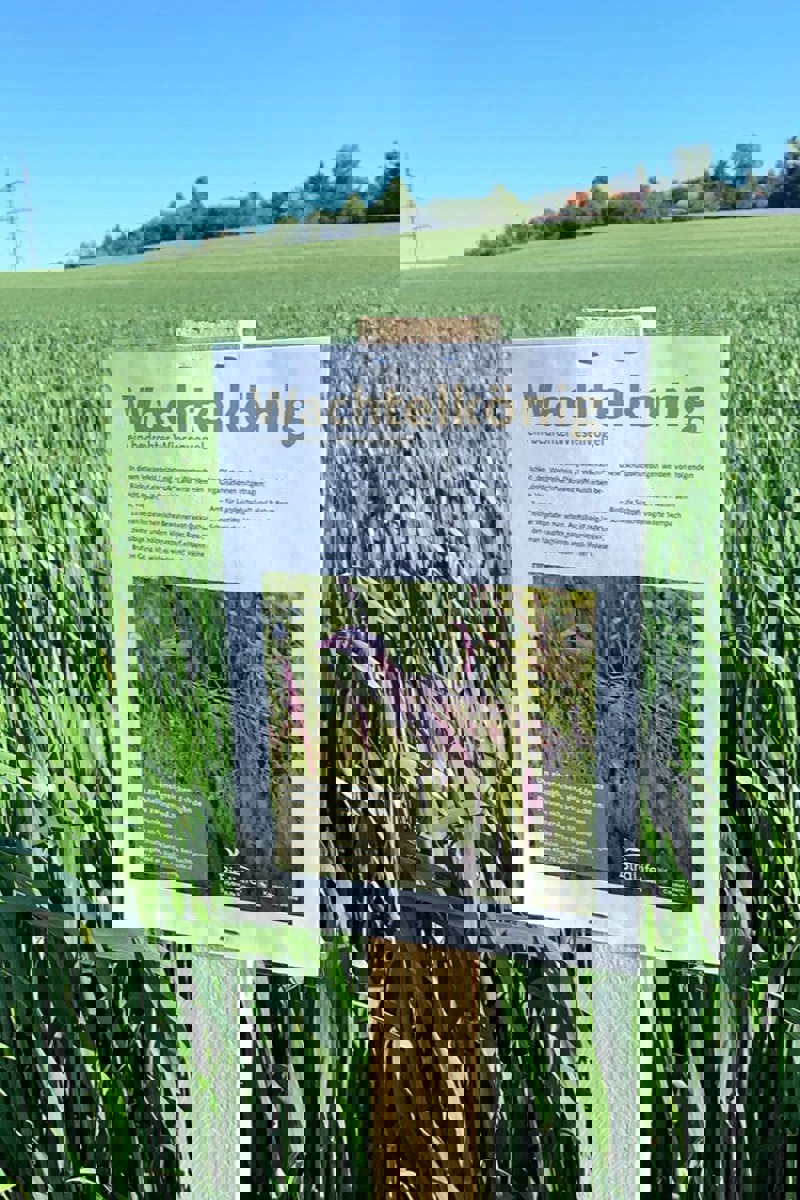 WA Infotafel Seedorf