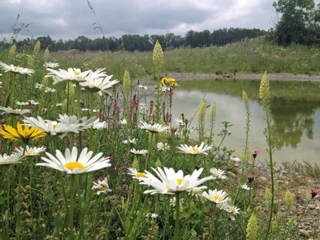 Aufwerten und regional vernetzen: So gelingt es