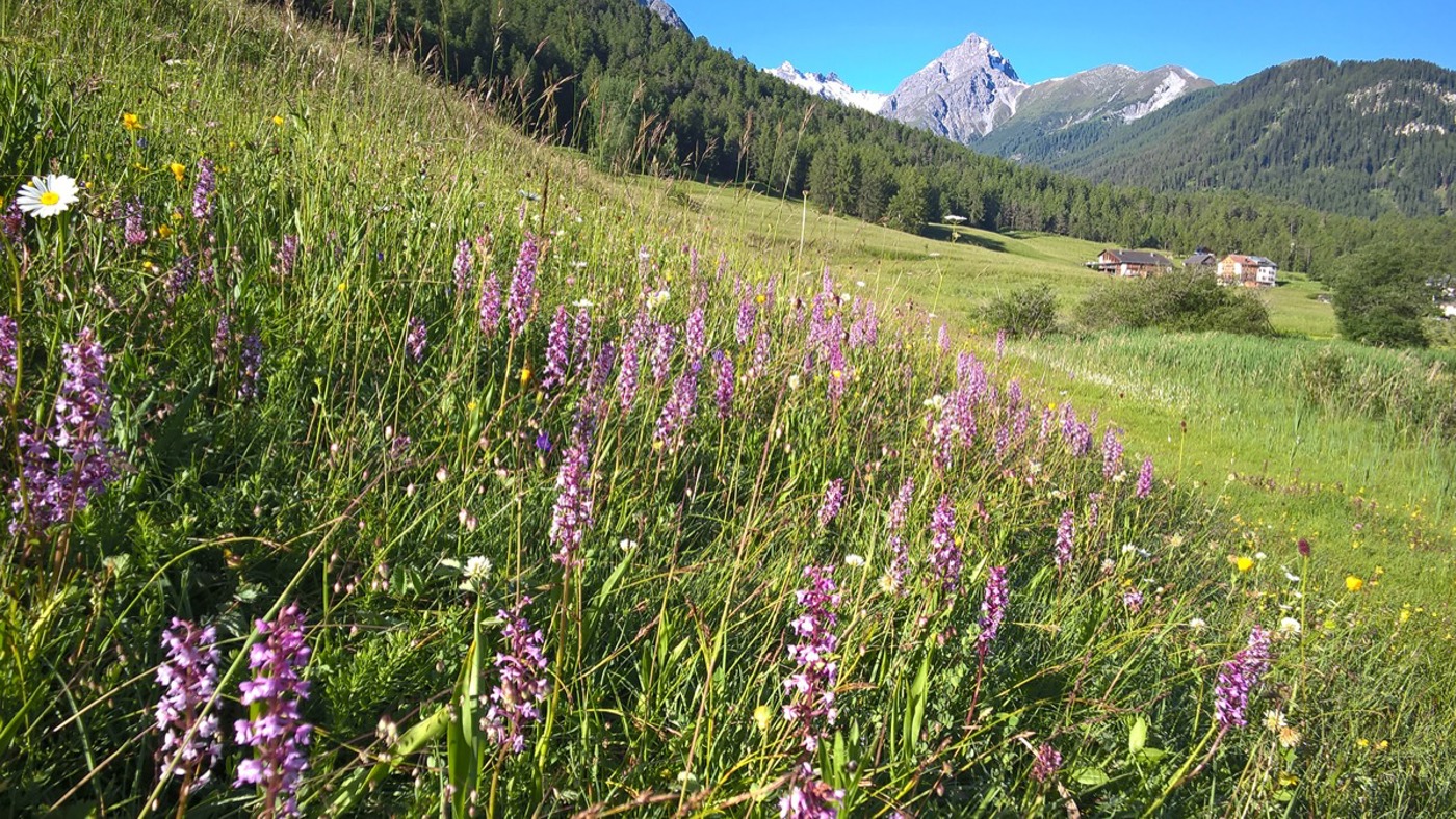 BT WP 20160628 07 52 12 Pro