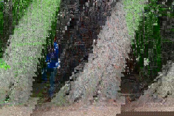 Moning Watzliktanne Moning