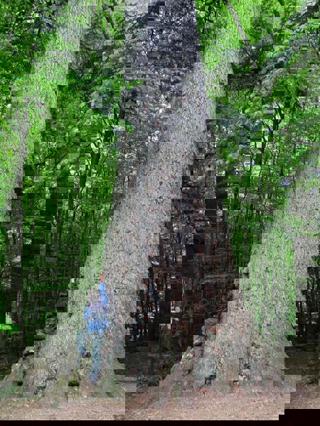 Wie viel ist nötig?