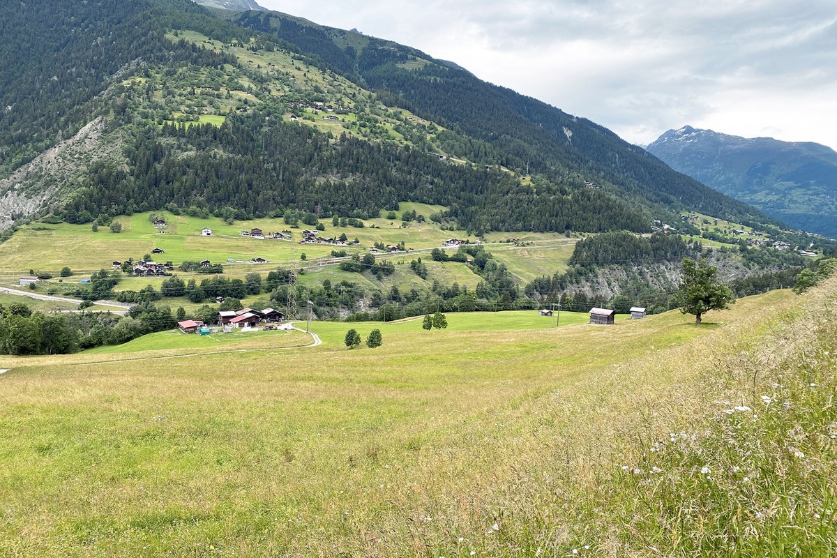 WA Grengiols Lombardo