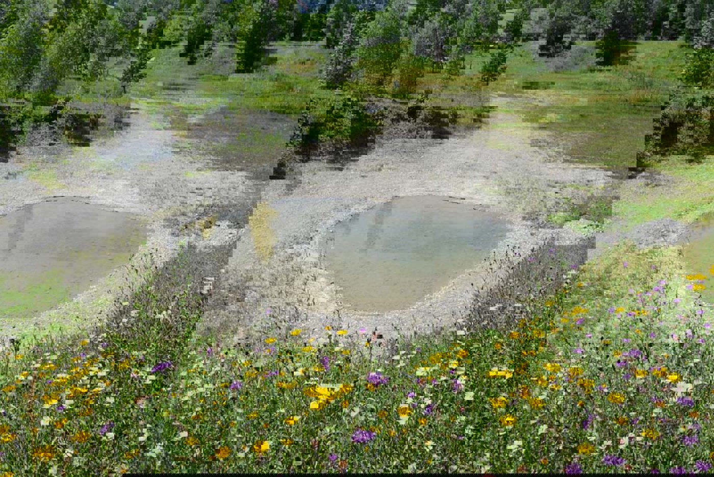 GBU Ablassbarertuempel BOVA Mlippuner