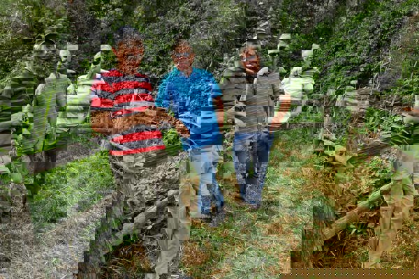 NVO Oberwallis Eyer Wyer Salzgeber 6