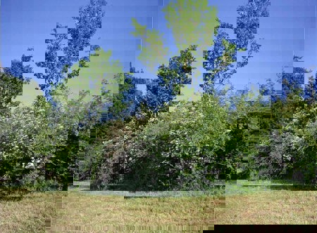 Dornröschen, wach auf!