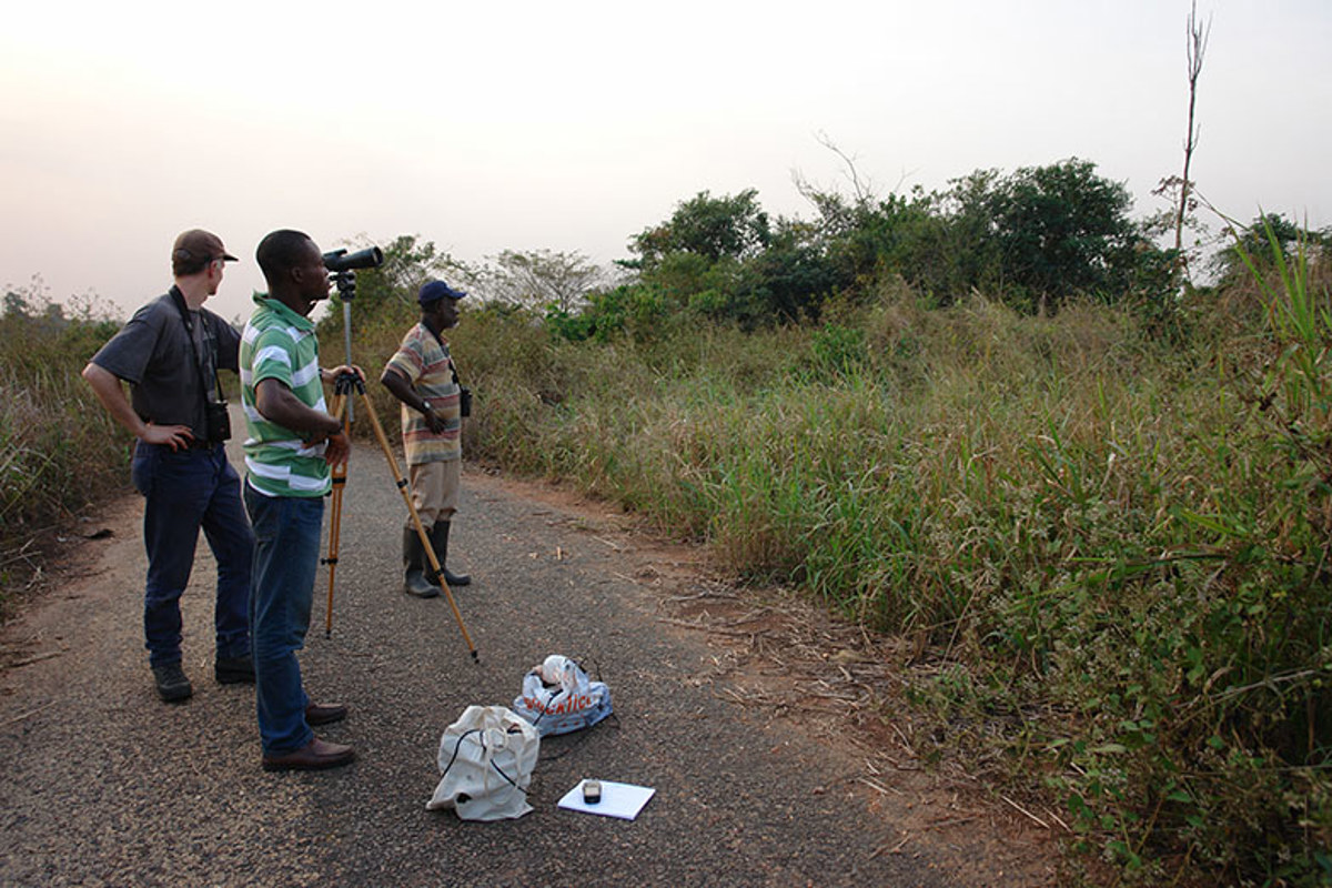 ZV Nachtigallenrevier2 Ghana Valentinamrhein