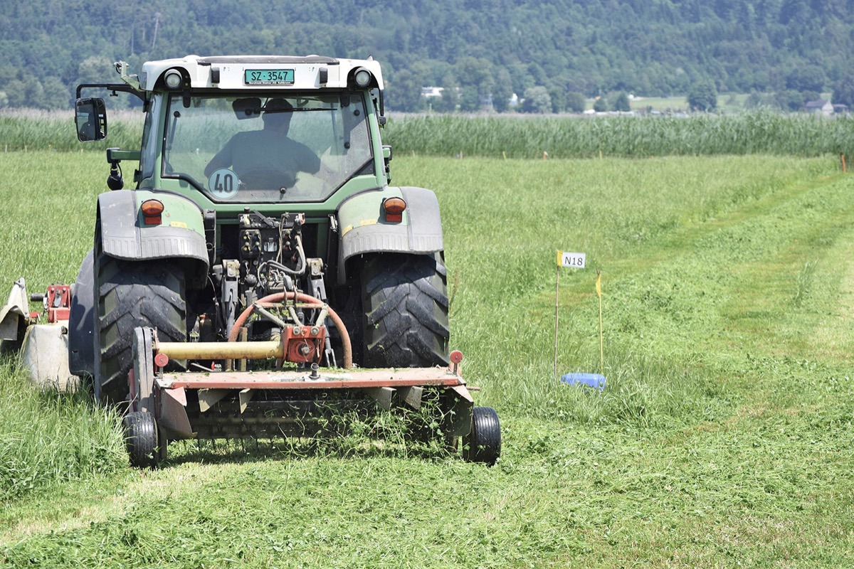 Traktor Und Gelege © Stiftung Frauenwinkel