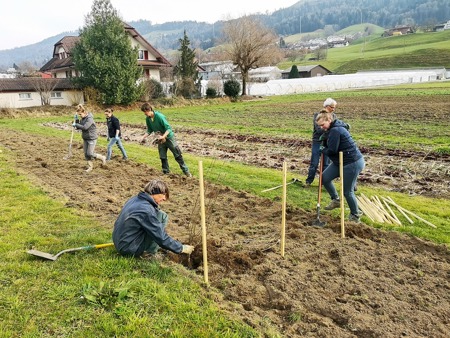 Fulminanter Start für Heckenprojekt
