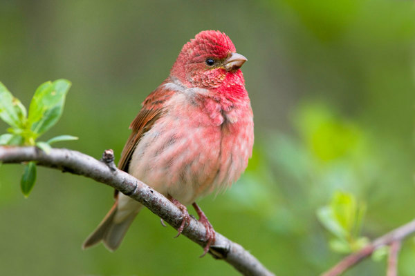 KA Mauritius Images 04033495 Edit Kopie