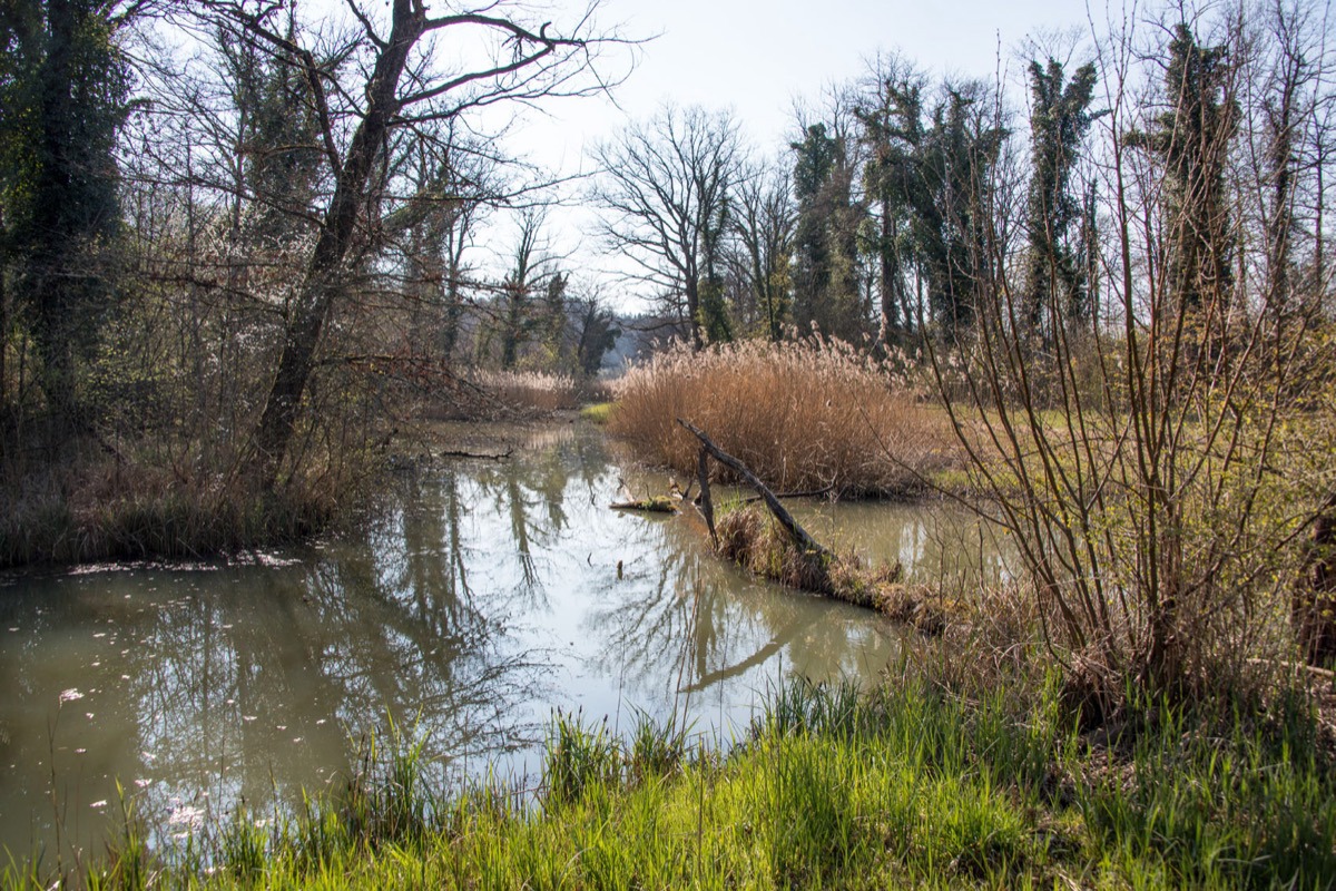 RE BS Rottenschwil Moos