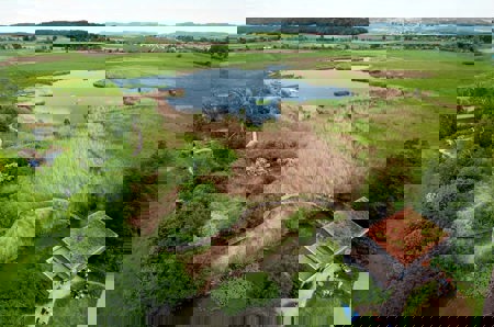 Fliegen wie ein Vogel