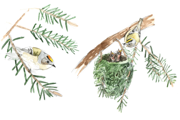 Bildschirmfoto 2025 03 24 Um 15.10.05